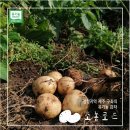 협동조합 성북신나 이미지
