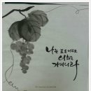 포도나무365