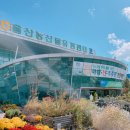 농협하나로유통 울산농산물종합유통센터 이미지