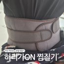 엘빈모터스크린매직 | 무선 적외선 허리 온열 찜질기 허리가ON 후기