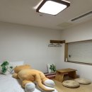 판판포포 이미지