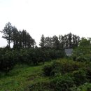 신흥보건진료소 이미지