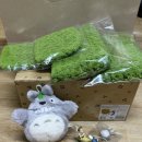 (키토 마켓) 토친자의 돌아온 인스타 라방 고전 토토로 와장창 구매 후기