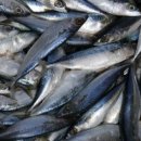 노원라테라산후조리원 이미지