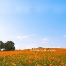 안성산양농원 이미지