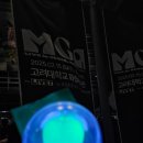 개일 | 250216 미세스 그린애플 내한 콘서트 후기