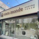 코코몽드 | 동대문 이문동 석관동 강아지 미용, 코코몽드에서 푸들 여름 준비했어요