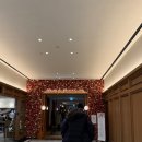 훠궈하우스 | [서울 반포동] 하우스오브신세계 | 미가훠궈 신세계백화점 강남점 후기