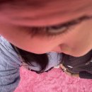 핑크트리 이미지