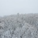 &#39;12cm 눈 쌓인&#39; 설악산, 대설주의보로 탐방로 통제[청계천 옆 사진관] 이미지