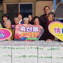 사랑의고기 이미지