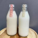문성로 | 해일막걸리 관악구 지역 양조장 시음 후기와 블루베리 막걸리 빚어오기