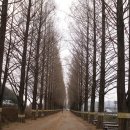 심리 해안가 이미지