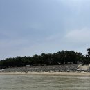 솔숲과 바다 | 뷰 하루 1 만원 캠핑장, 반려견 동반 가능, 사이트 정보, 해루질 가능, 선착순 자리선점, 캠핑장 이용후기