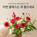 플로리스트(B) | 꾸까(KUKA) 플로리스트 수료증 정규 과정💐