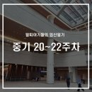 충남중기 | 이란성 쌍둥이 임신 중기 후기 20주차~22주차 후기