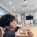 산청유치원 | 경남 가성비 키즈풀빌라 산청 스테이페어 감성가득 대만족