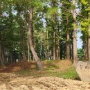 보문호반길 이미지