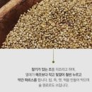 에이치디엘 이미지