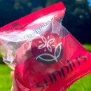 와룡탯골길(와룡면) | 실패 없는 설날 과일 선물, 리더스팜 썬플러스 사과 1월 베스트 리뷰 모음