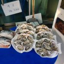 돌고래회수산 이미지