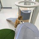 화성초록병원 | 25년 월간 일기. 10월