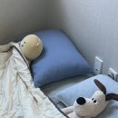 어디서부터 적어야하지
