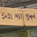 근형이네다육농원