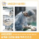 유앤동물의료센터 네이버블로그
