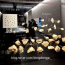 굿즈투어 | [서울 실내 가볼만한곳] 아이와 함께 주말 역사 여행, 국립중앙박물관 상설전시실 & 굿즈샵 투어 후기 🏛️