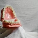 임재범치과교정과치과의원 이미지