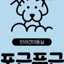 포근푸근 이미지