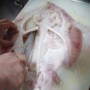 구룡포찜전문점 이미지