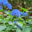 수지근린공원 이미지