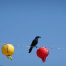 불국사관광안내소 이미지