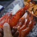 울진해산물 이미지