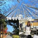 두들마을 음식디미방 | 경북 영양 가볼만한곳 웰니스여행 자작나무숲 두들마을