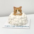 프프프스토어 이미지