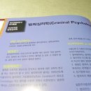 별곰자리