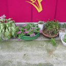 엔젤세탁소 이미지