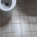 선운다사로움 이미지