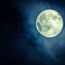 정도행정사 이미지