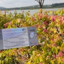 세븐일레븐 의왕레솔레파크점 이미지