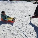 키즈석사태권도장 이미지