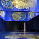 세종 도시와 자동차 | 세종 어린이박물관 상설전시만(도시 디자인놀이터, 우리문화놀이터) 관람 후기, 예약 주의사항