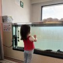 아기키즈풀빌라