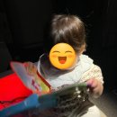 병인농장 | 아기랑 장거리 비행하기