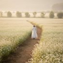 대지농장(1) | 고창 학원농장 지금 가도 꽃이 있나요?