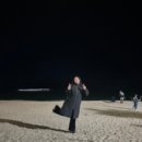 소나무둥지 | 숙소 썬리치 펜션션, 동화가든 본점, 카페 툇마루, 카페 롱블랙, 초당 미식로드 축제, 강릉 커피 축제 후기