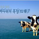 카우보이목장 이미지